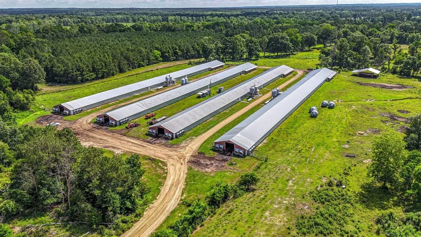 PRICE REDUCED - B4 Broiler Farm – Four House Farm in Walthall County, MS
