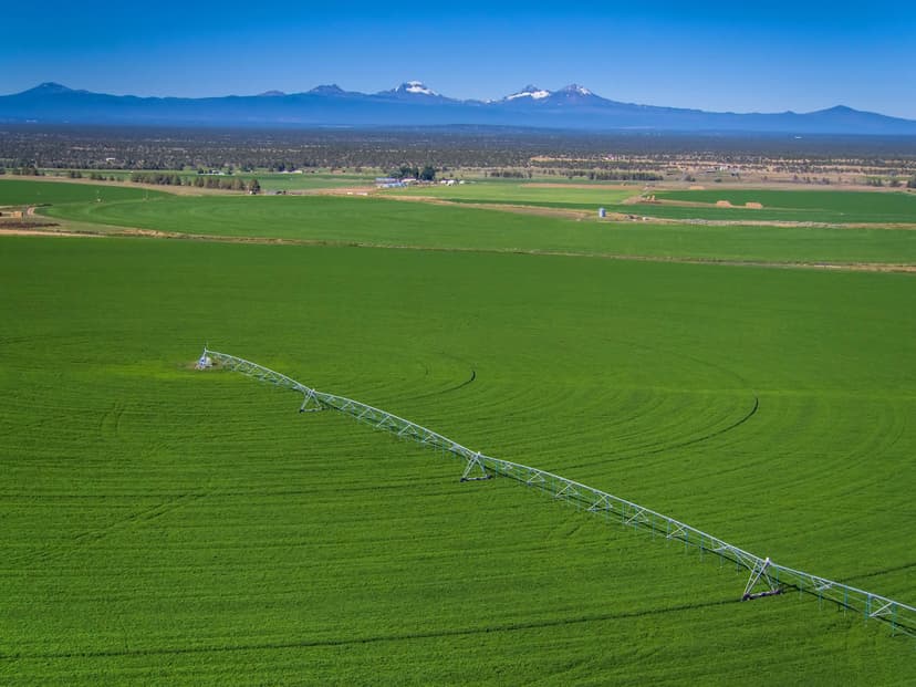 11705 SW Shumway Road