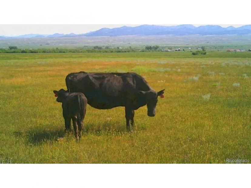 (TBD) County Road 119