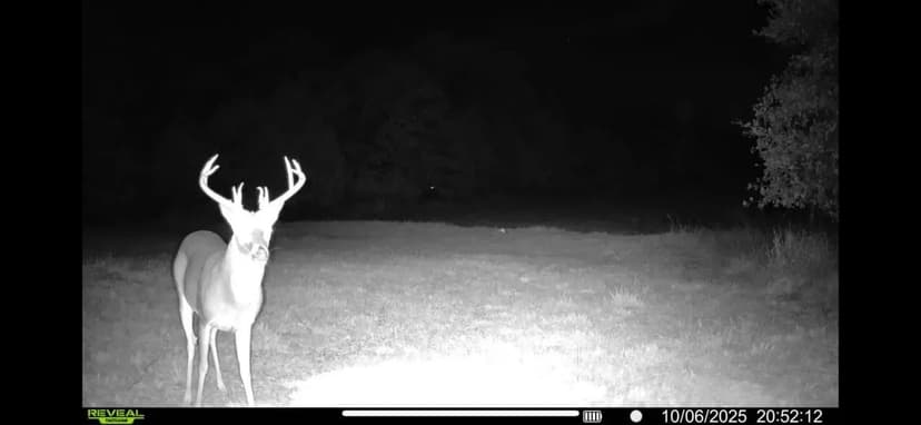 10 acres Just Outside of Norman