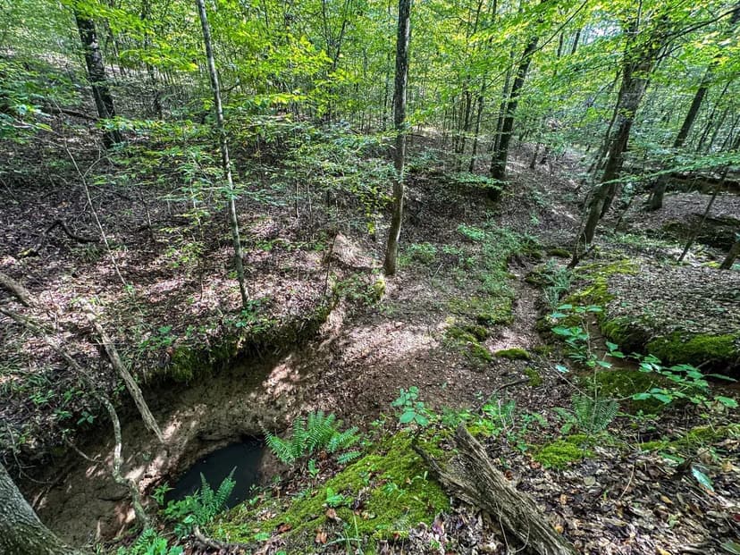 Oktibbeha 52 Acres on Hwy 82 West