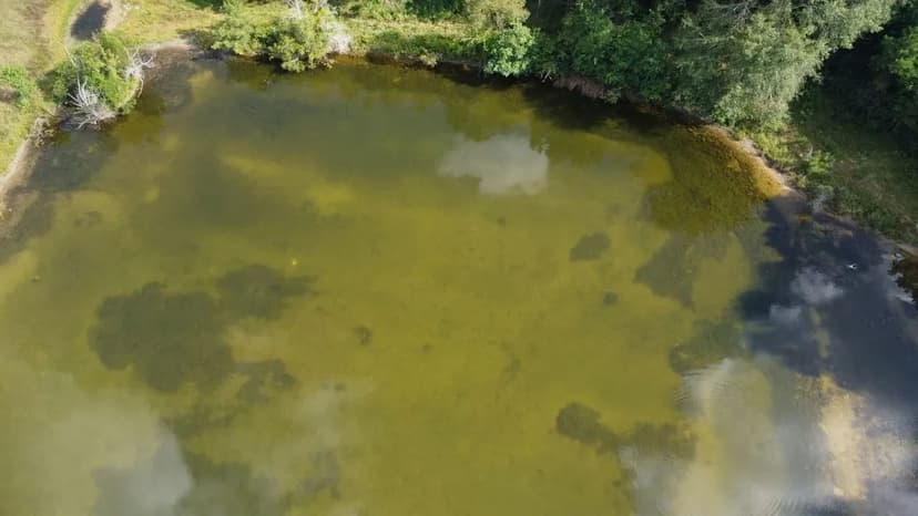 109 Acres of Prime Recreational Land in Mount Olive, MS