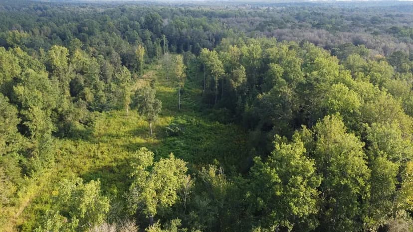 78 Acres along Bouie River