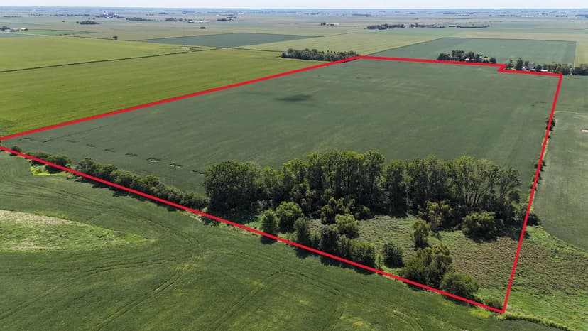 Manteno 160 Properties