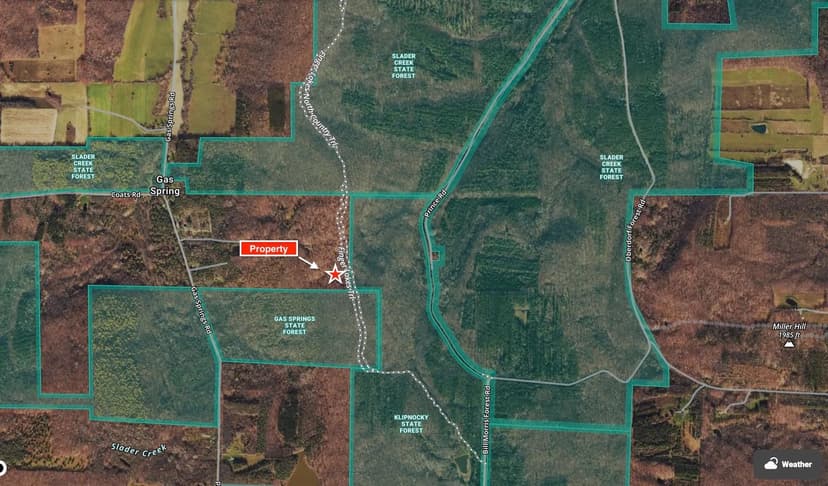 Cabin on 3 acres bordering State Land in Canaseraga NY 9516 Gas Springs Rd