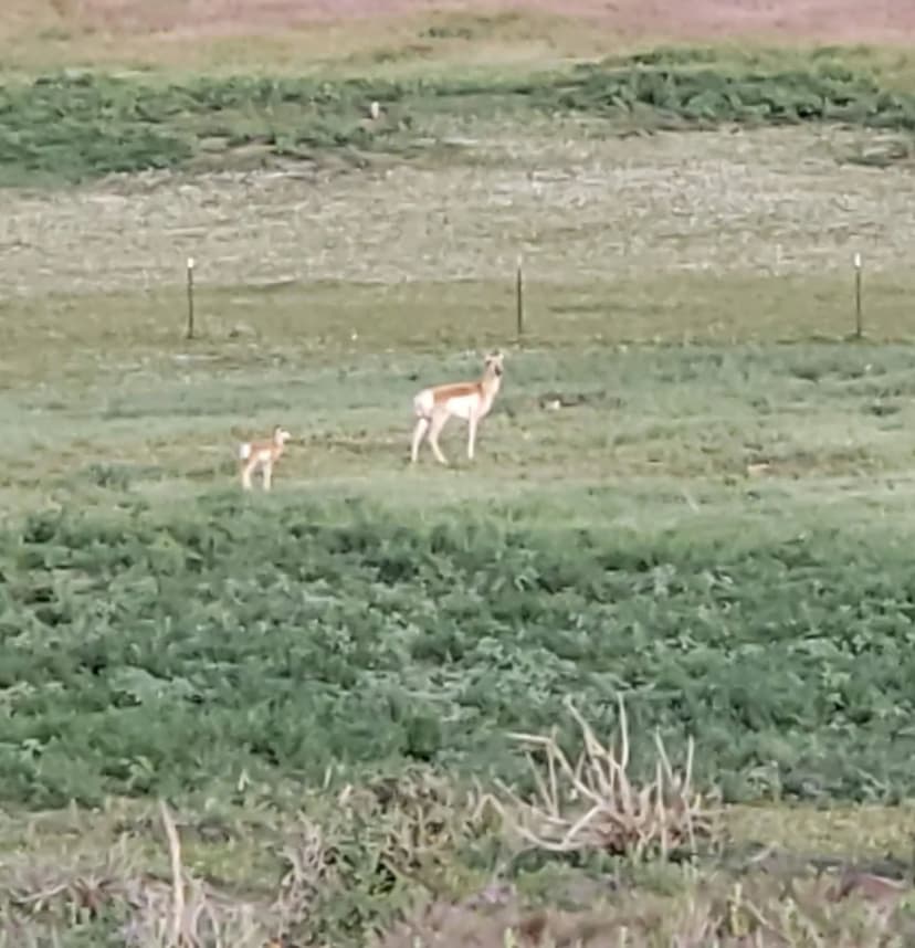 VanNorman Oak Creek Ranch
