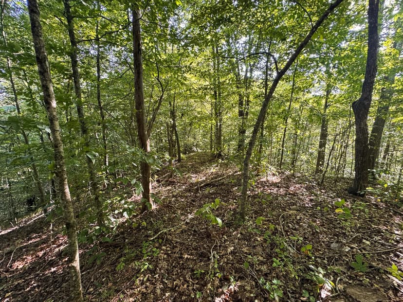 Appalachian Wilderness Hancock County TN