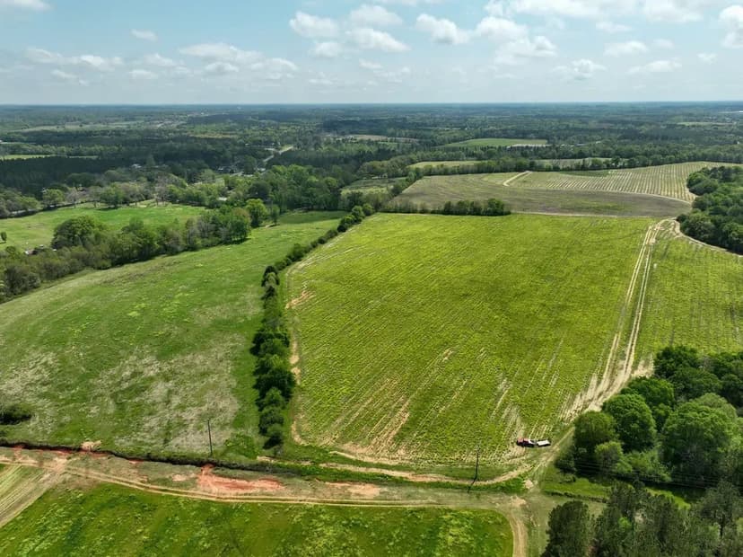 20 Acre Homesite or Farmland Opportunity in Dothan (Lot 1)