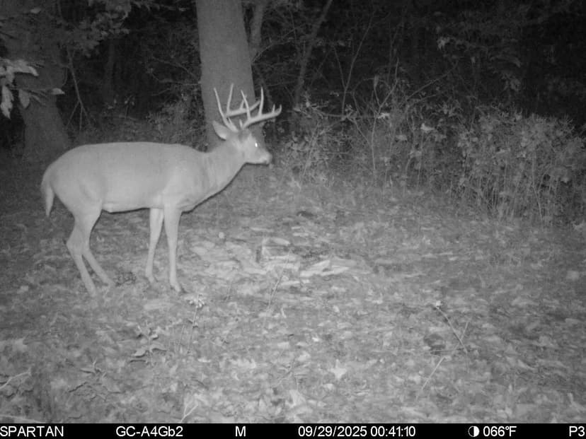 63 Acres in Ohio County, KY 