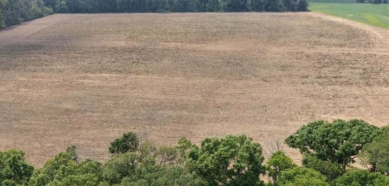 120 Acres in Sharkey County in Anguilla, MS