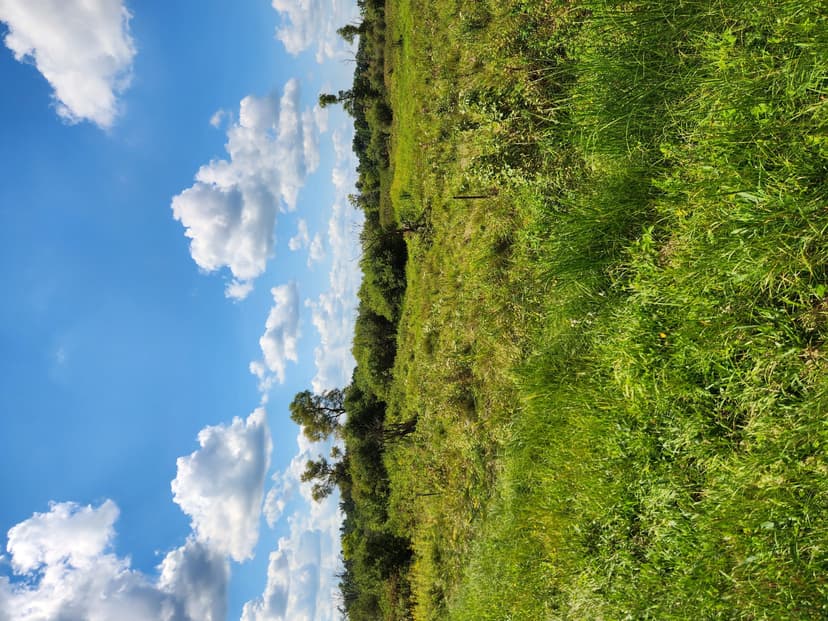 Trophy Whitetail Deer Hunting Columbia County WI