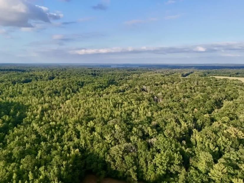 Duck Property Potential going Gin Creek WMA Henry County, TN