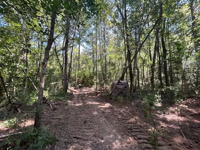 52.84 Acres on Charlie Rhodus Rd | Magnolia, MS