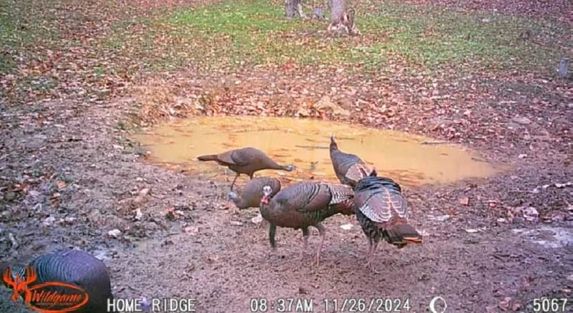 Potts Hill Rd - 13 acres