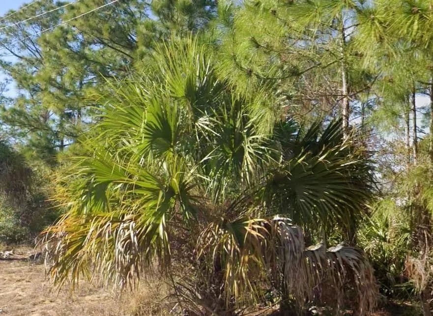 Property from 2706 52ND STREET W - KW - Lehigh Acres, Florida, 33971