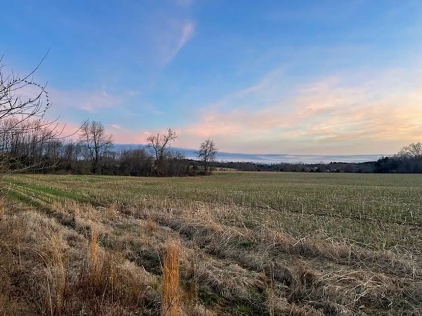 12+/- Acres Clark County