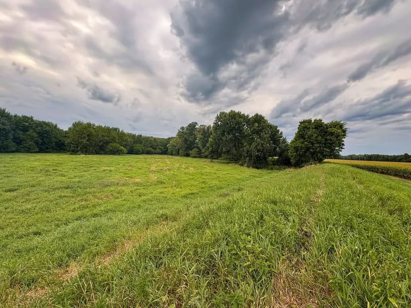 Productive Tillable Farm Land for Sale Parke County, IN