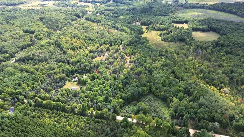 59 +/- Acres & Cabin / Lake County, MI / Deer Camp / Land For Sale