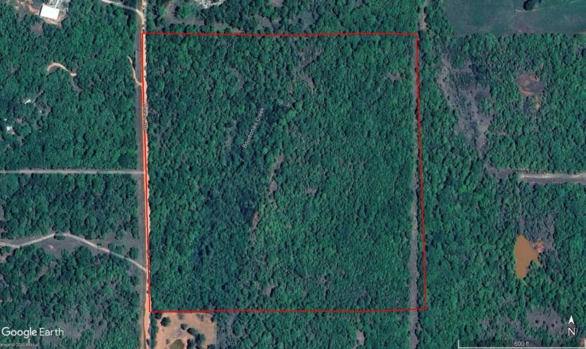 40 Acre Heavily Wooded Hunting Land- Cleveland County, OK