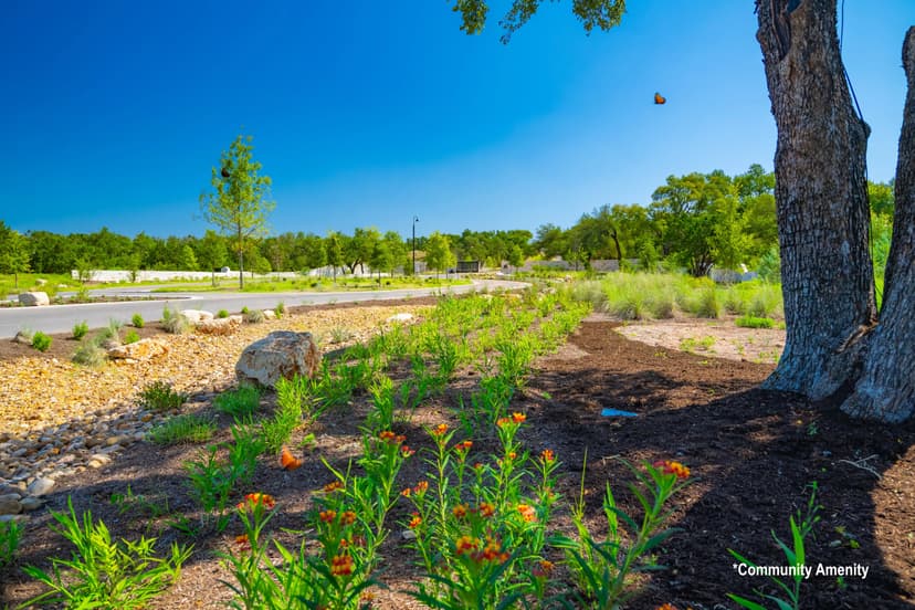 Legacy Estate 32 at Preservation Ranch