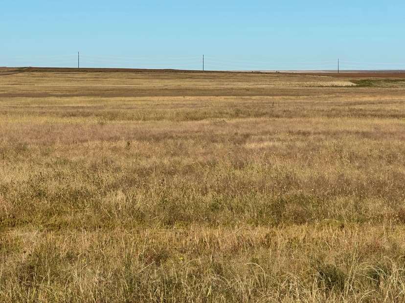 Firstview Colorado Farm