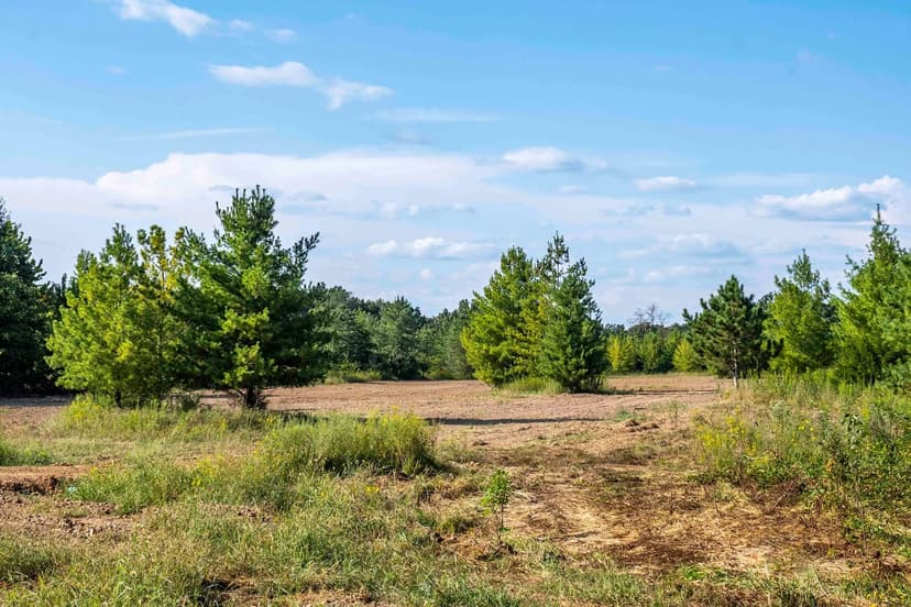 Secluded 20.9± Acres: Ideal Retreat & Potential Home Site for Sale – Montgomery County