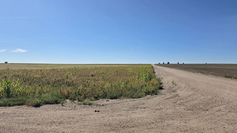 Southeast Fleming Dryland