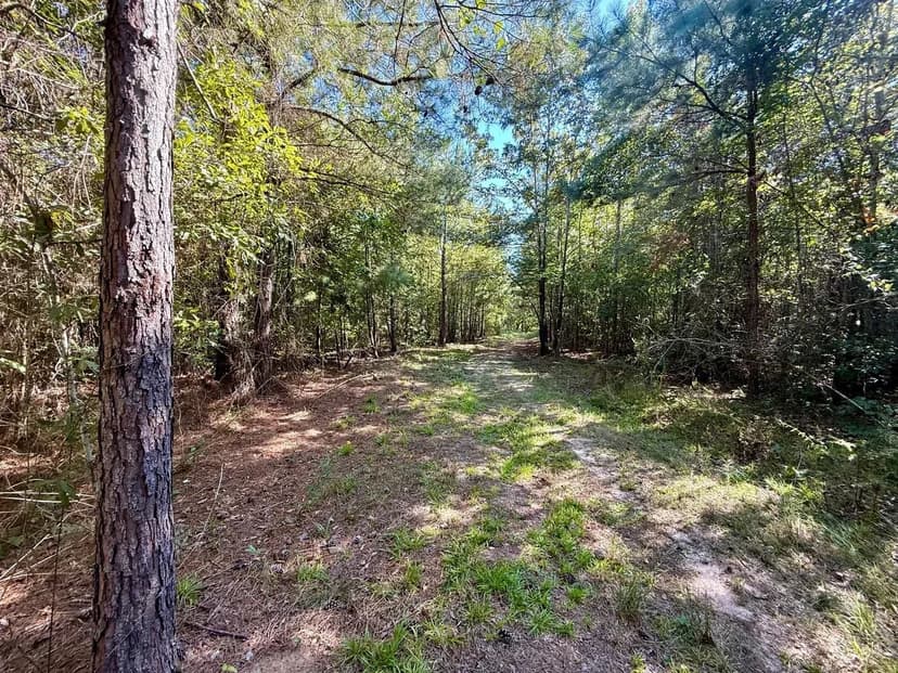 Tract A Holt Rd Houston Co