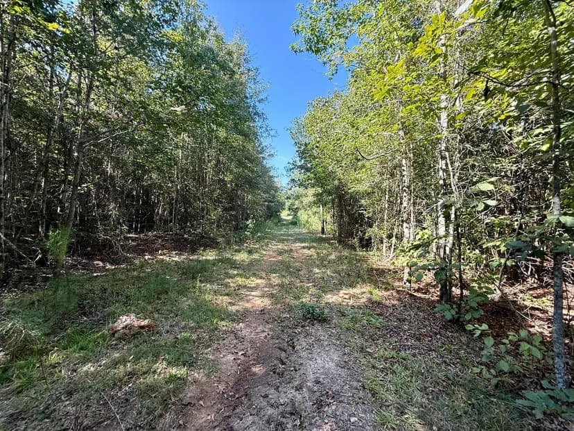 Tract B Holt Rd Houston Co