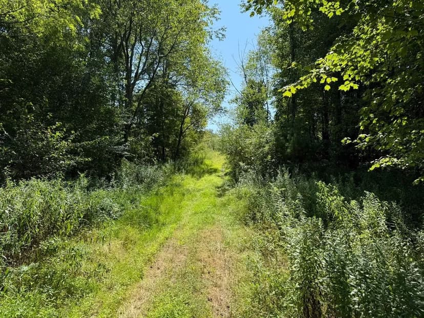 Turkey Knob Property - 90 +/- Acres, Indiana County