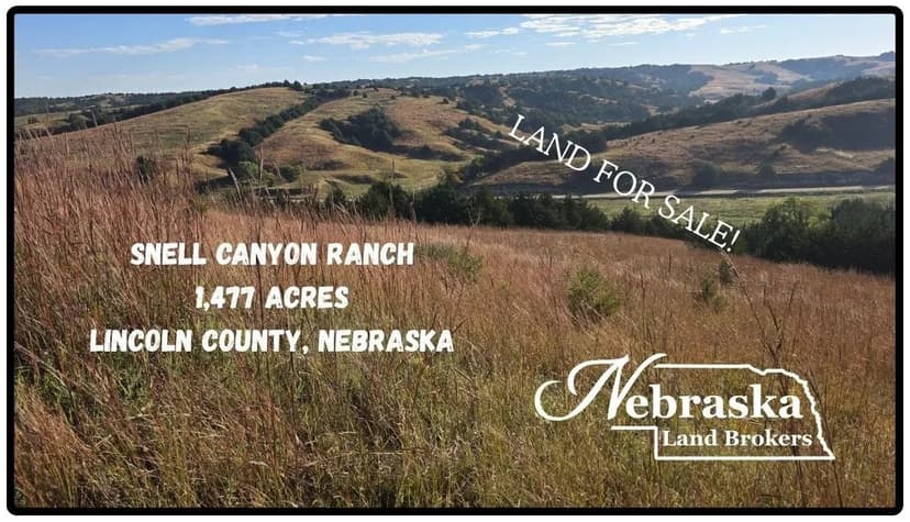 Snell Canyon Road Ranch