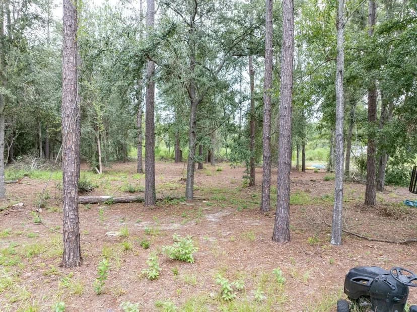 Stilt Style Home on 2 Acres