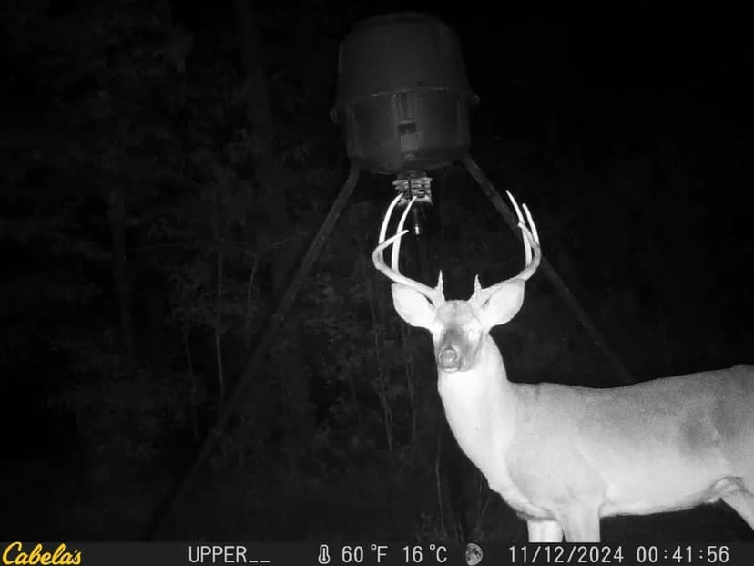 Beautiful Home and Land in Pine Mountain Valley