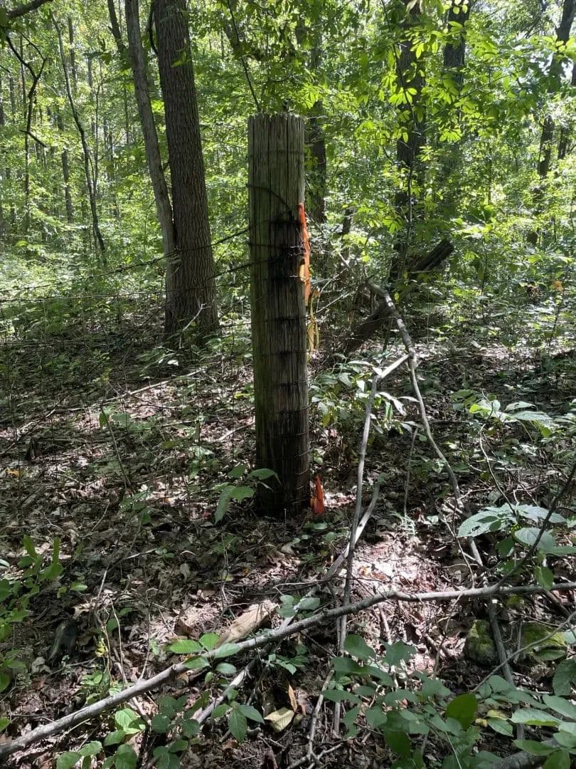 11 Acres with Creek Hendersonville, TN