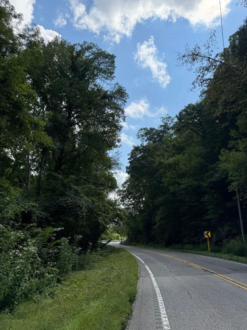 74.56 +/- acres of Hunting & Timberland in Grundy County, Tennessee