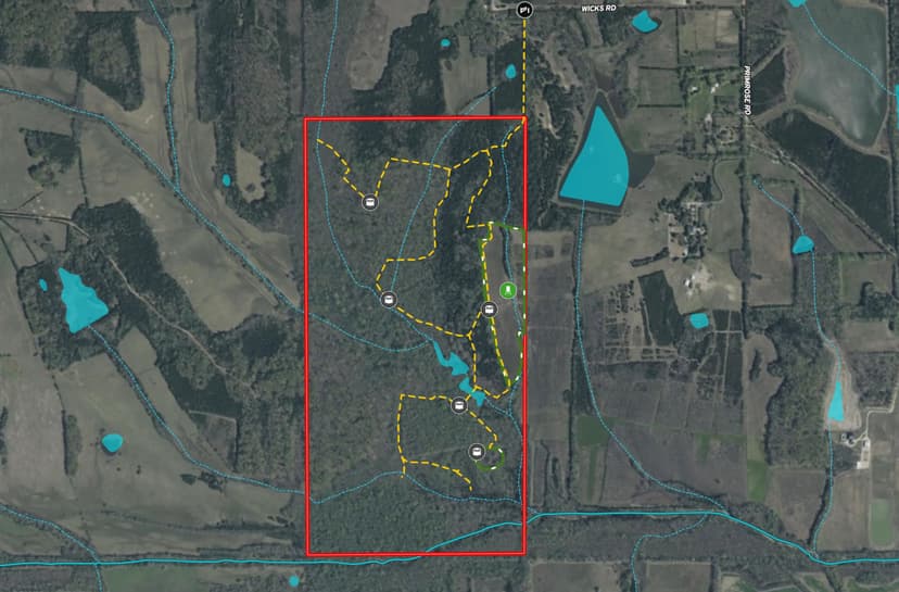 325 Acres in Lowndes County, MS 