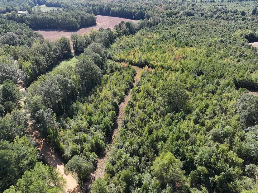 70 Acres in Lamar County, AL 