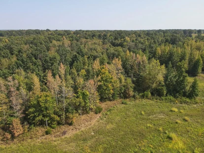 Exquisite 105-Acre Gated Estate in Harviell, Missouri