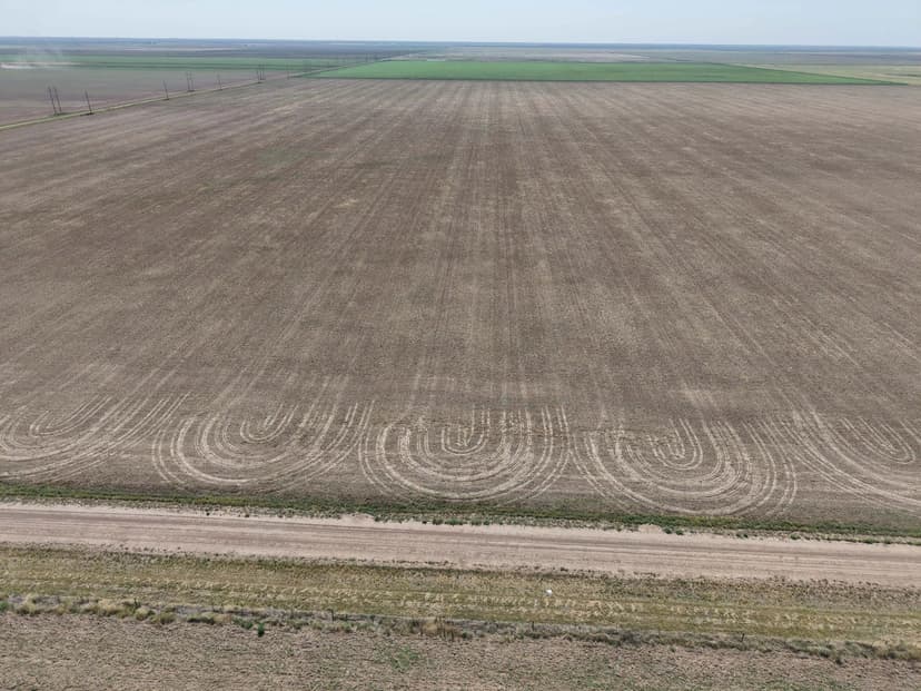 Hansford County Dryland Farm