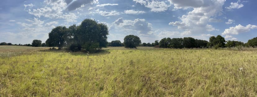 4.30 Acres, TBD Blue Lacy Lane, Anson (Lot 8)