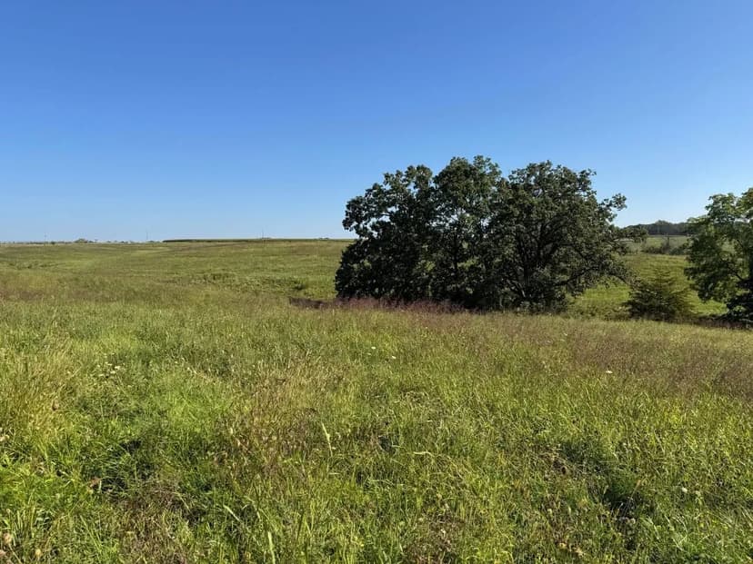40 Acres – Van Buren County, Iowa