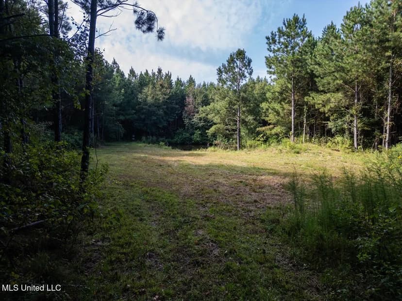 Hunting Land for Sale in Copiah County MS - Dixie Garden 46