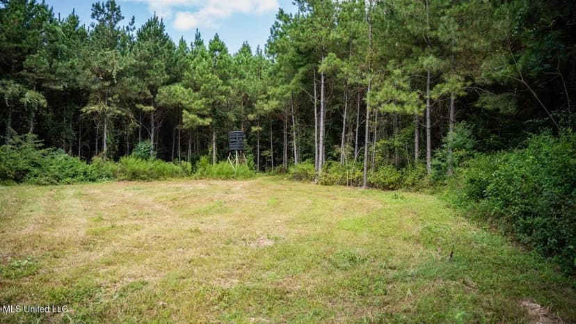 Hunting Land for Sale in Copiah County MS - Dixie Garden 46