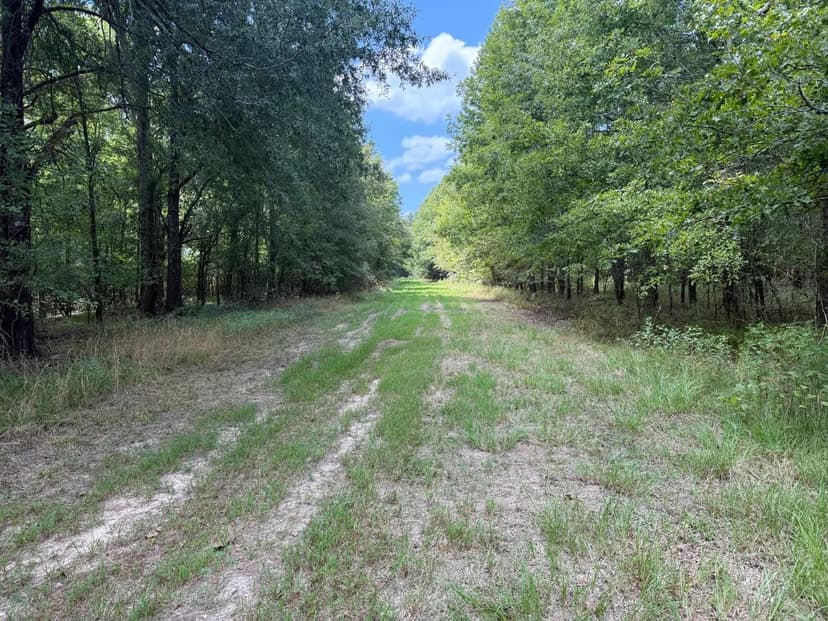 LA - Catahoula 345 acres +/-