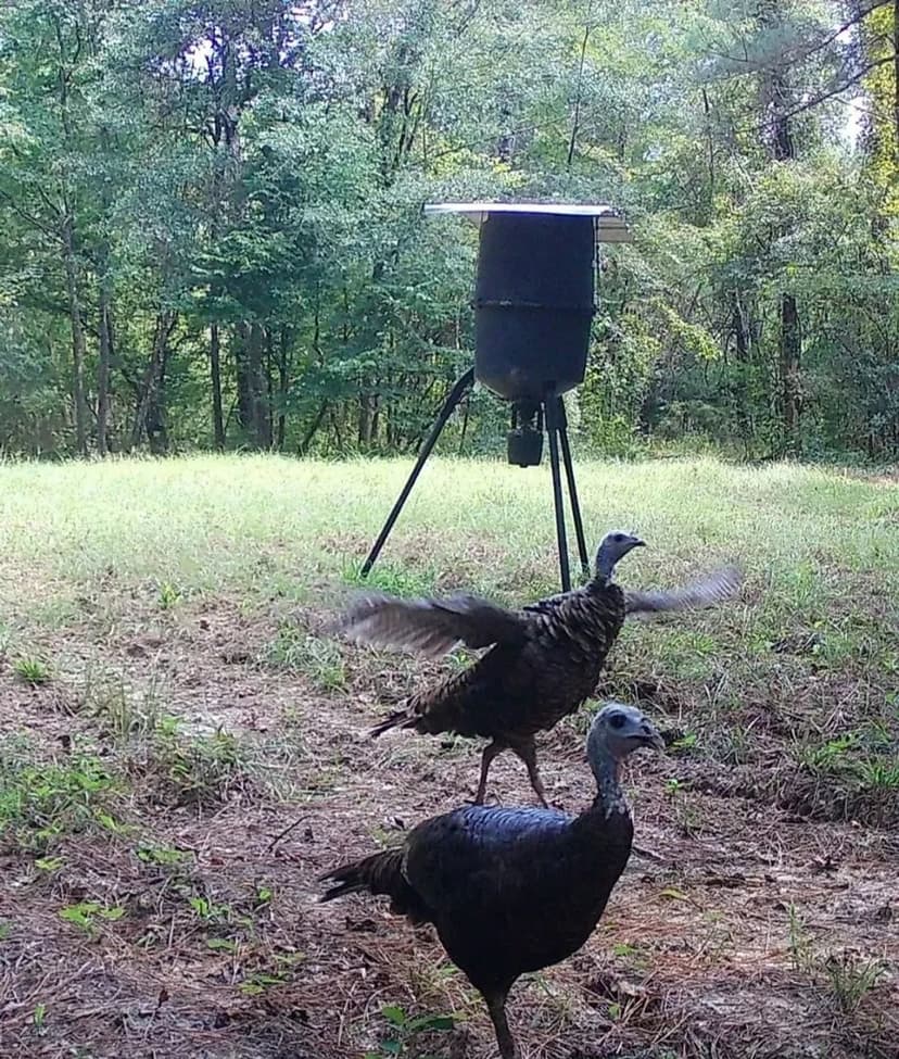 Phares Hilltop Farm: The Southeast’s Premier Family & Hunting Retreat