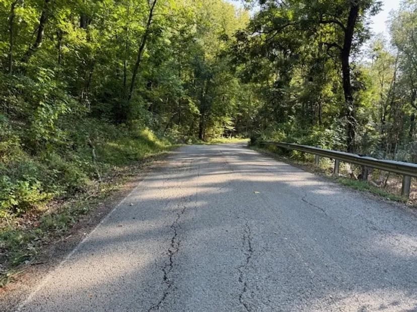 0.88+/-acre wooded lot on Mullins Cove Road in Whitwell TN.