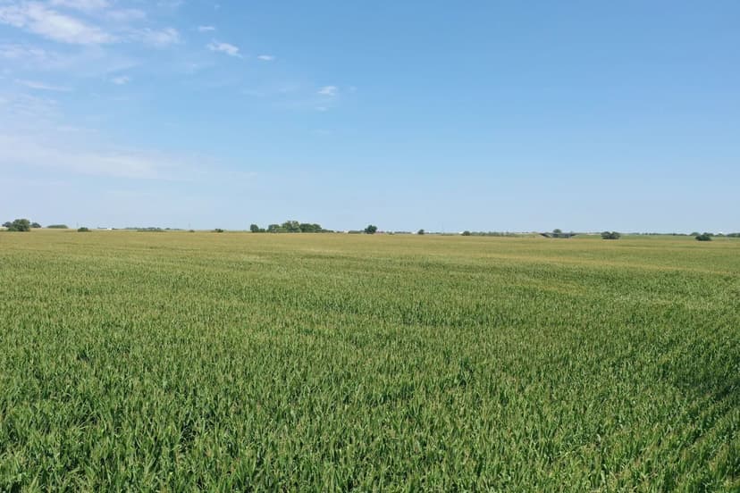 94.12+/- Acres for Sale in York County, NE