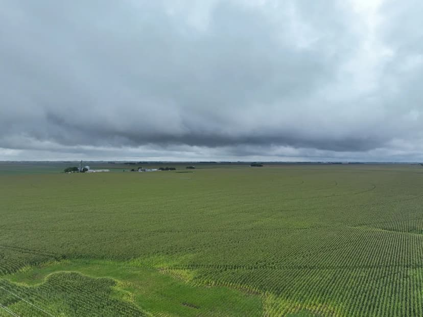 313.43+/- Irrigated Acres in Hamilton County, NE