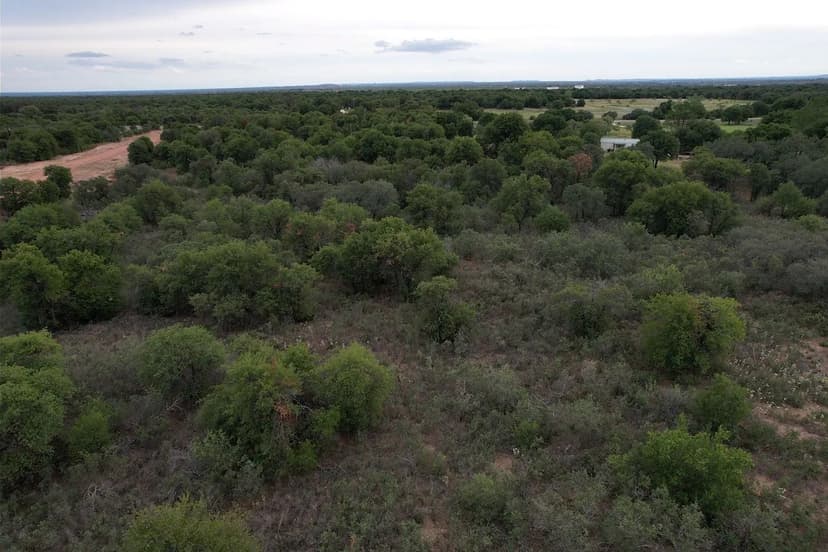 1.07 Acres, TBD PR 368, Hawley (Lot 23)