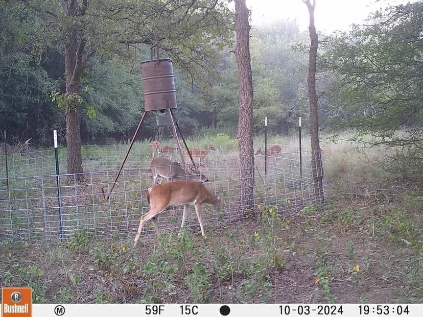 15.882 Acres Graham Texas